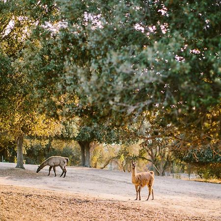 Domaine Naturiste De Riva Bella Лингиццета Экстерьер фото